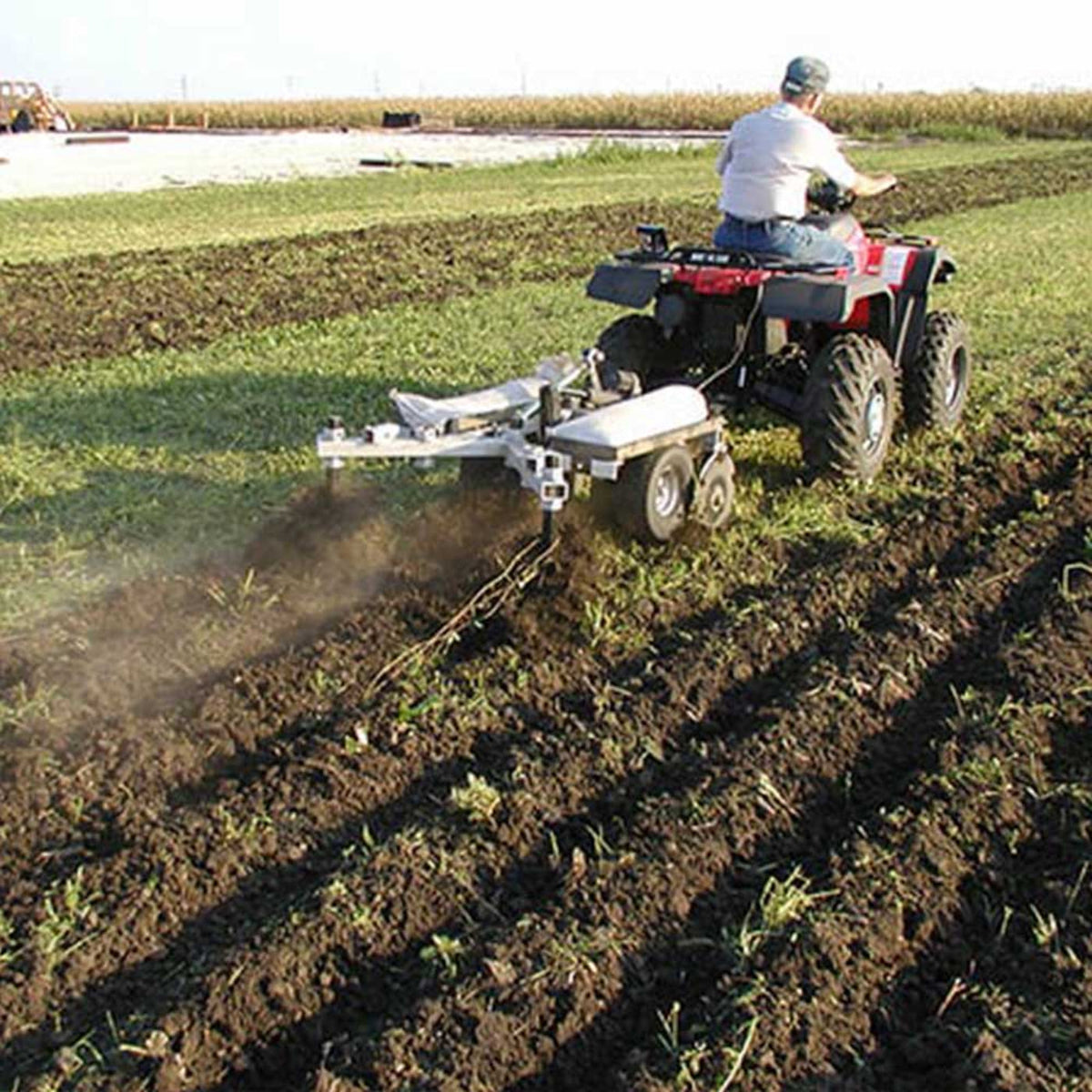 Grey Wolf Till-N-Claw Chisel Plow & Cultivator 43-In. Wide  - (GWG311026)