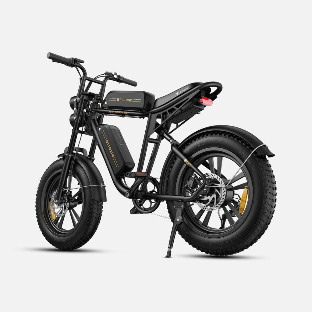 ENGWE M20 48V 13Ah/26Ah 750W All-Terrain Electric Bike