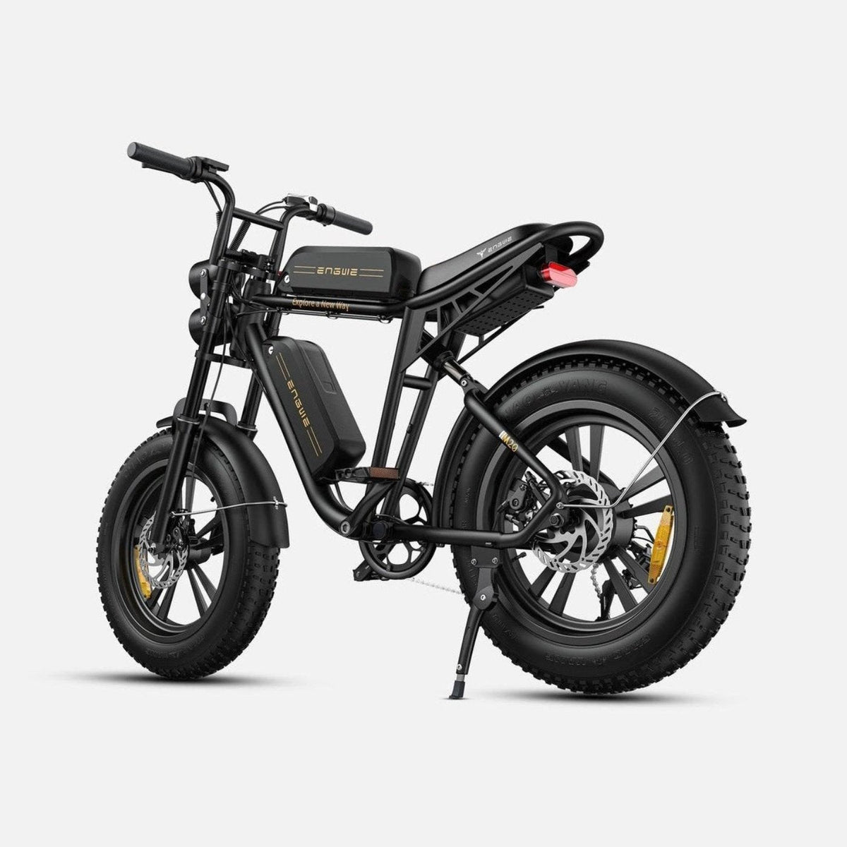 ENGWE M20 48V 13Ah/26Ah 750W All-Terrain Electric Bike