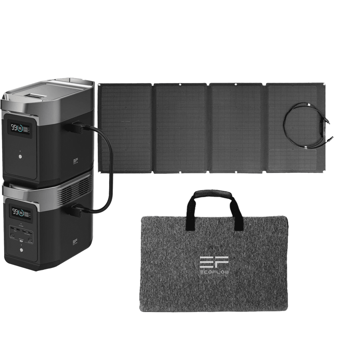 EcoFlow DELTA 2 + Extra Battery + 160W Solar Panel - DELTA2-DELTA2EB-EFSOLAR160W