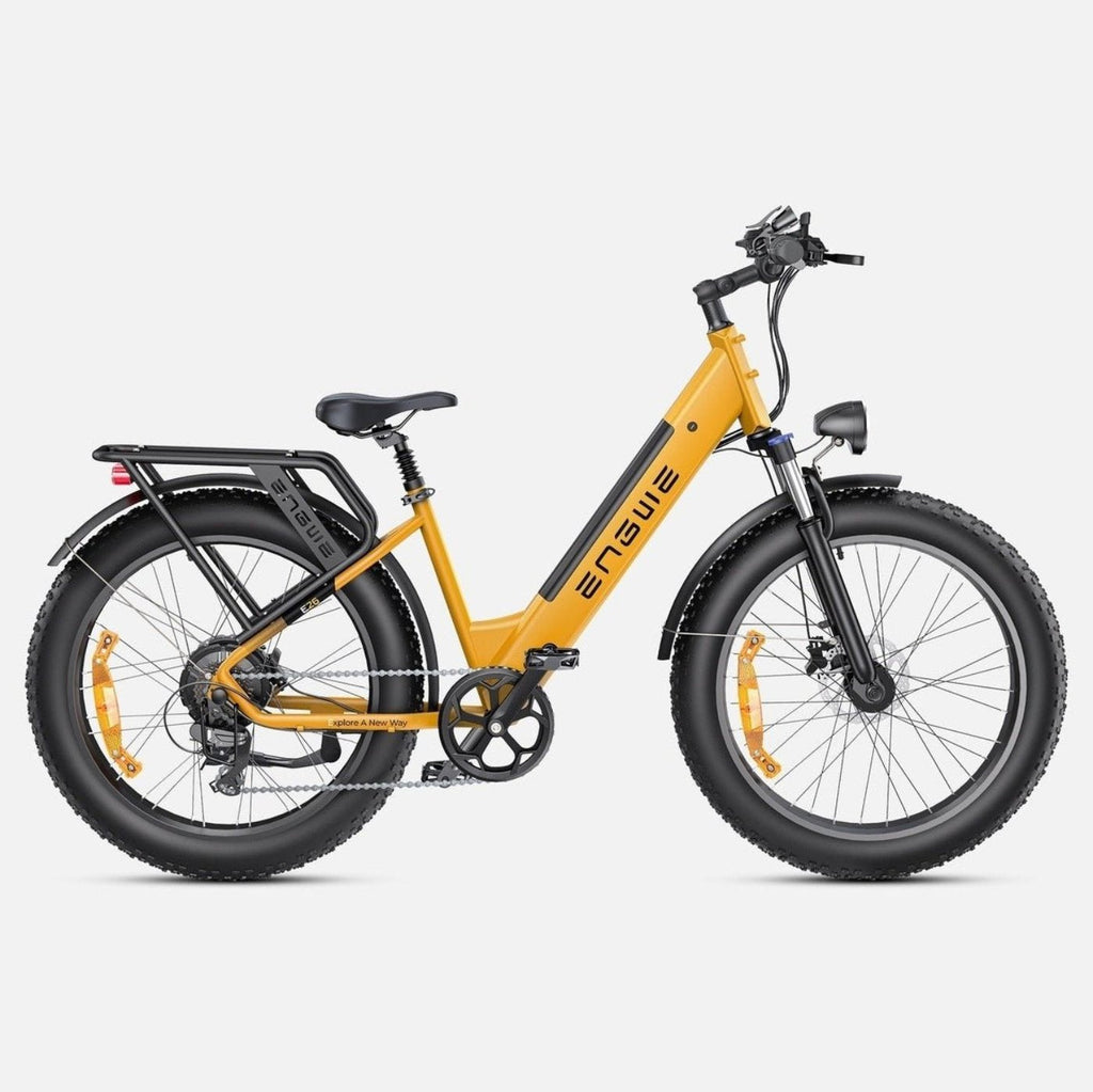 ENGWE E26 48V/16Ah 750W Electric Bike