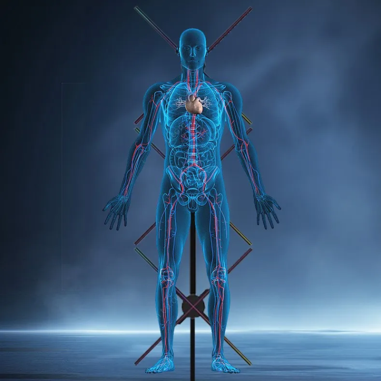 3D Hologram Fan Projector