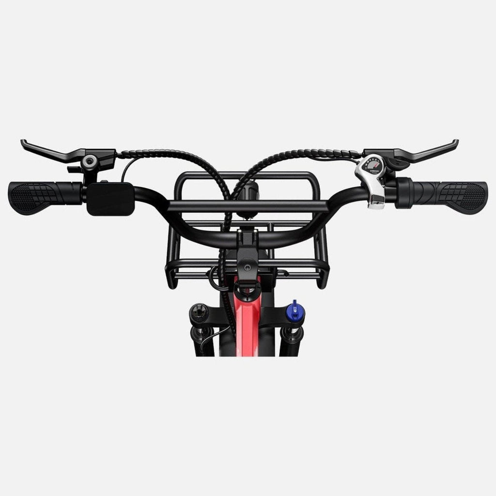 ENGWE L20 48V/13Ah 750W Electric Bike