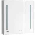 Aquadom Signature Royale Bi-View 30" x 40" Rectangular Medicine Cabinet With Lighting, Defogger, Integrated LED 3X Magnifying Mirror And Electrical Outlet with USB - SR-3040