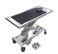 Avante Pannomed EPT Veterinary Mobile Treatment Table with Scale - 12705
