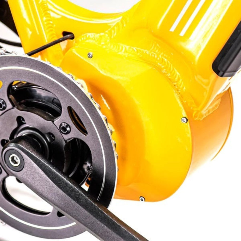 "Biktrix 2024 Juggernaut Classic Duo 750W Step-Over E-Bike"