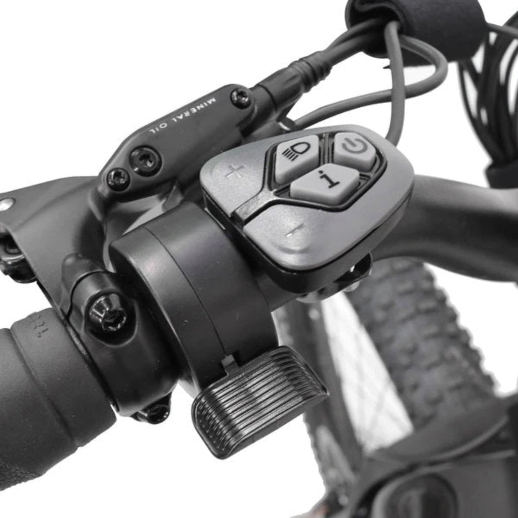 "Biktrix 2024 Juggernaut Classic Duo 750W Step-Over E-Bike"