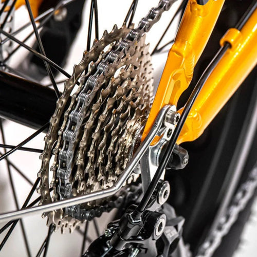 "Biktrix 2024 Juggernaut Classic Duo 750W Step-Over E-Bike"