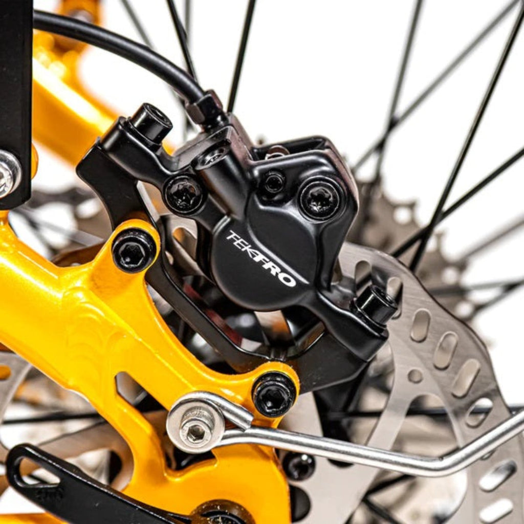 "Biktrix 2024 Juggernaut Classic Duo 750W Step-Over E-Bike"
