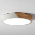 Delphi Ceiling Light