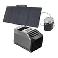 EcoFlow WAVE 2 Portable AC + DELTA 2 + 160W Portable Solar Panel - ZYDKT210-US-ZMR330-US-1xEFSOLAR160W