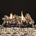 Empire Driftwood Burncrete Vent Free Gas Log Set -  LS18CD, VFSM18LP