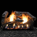 Empire Super Sassafras Vent Free Gas Log Set - LS18RSS, VFSM18LP
