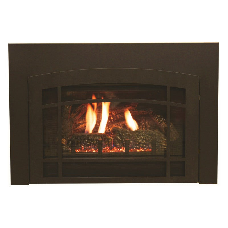 Empire Innsbrook Medium Clean Face Direct Vent Gas Insert | DVC26IN