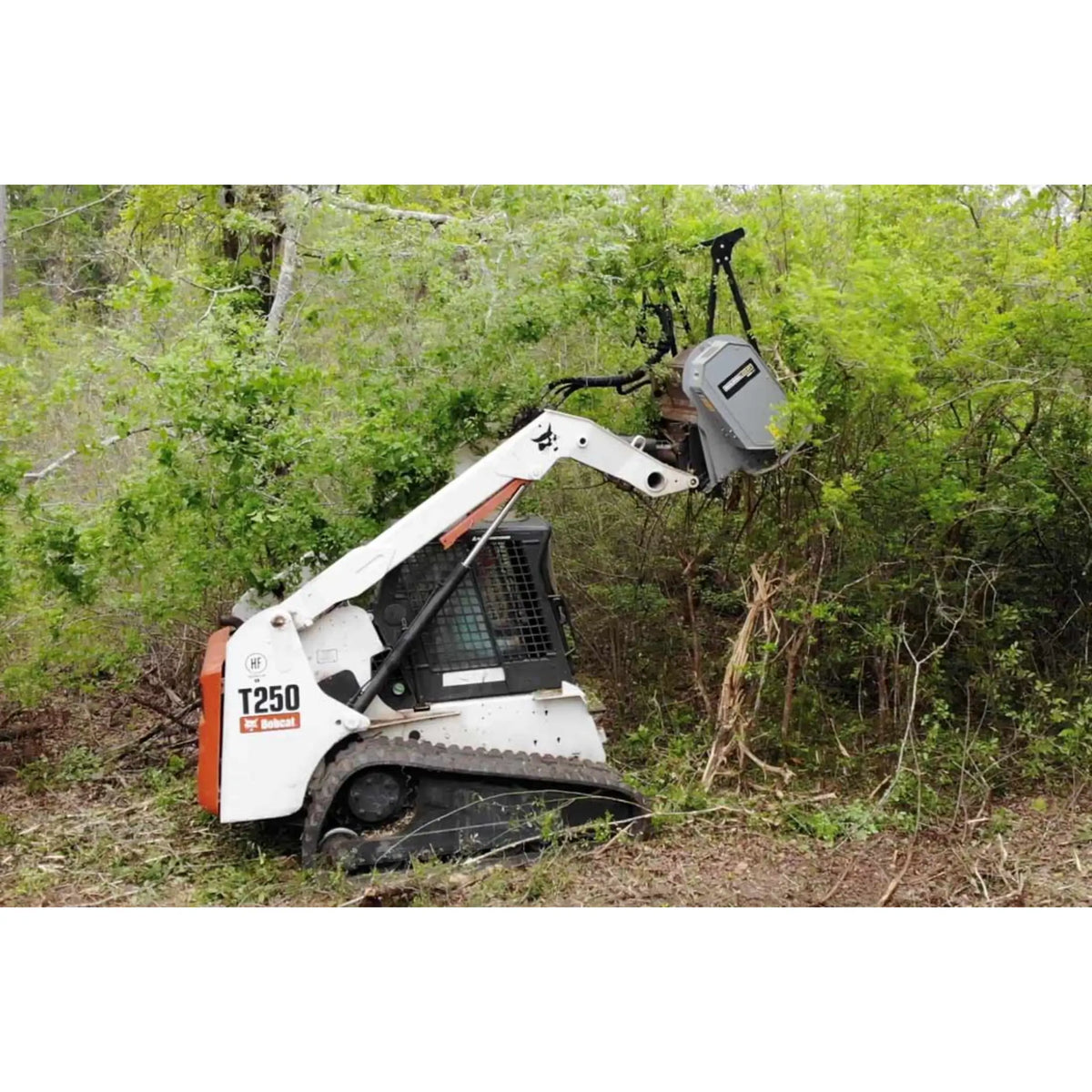 Baumalight MS548 Fixed Tooth Brush Mulcher For Skid Steers - MS548-A450