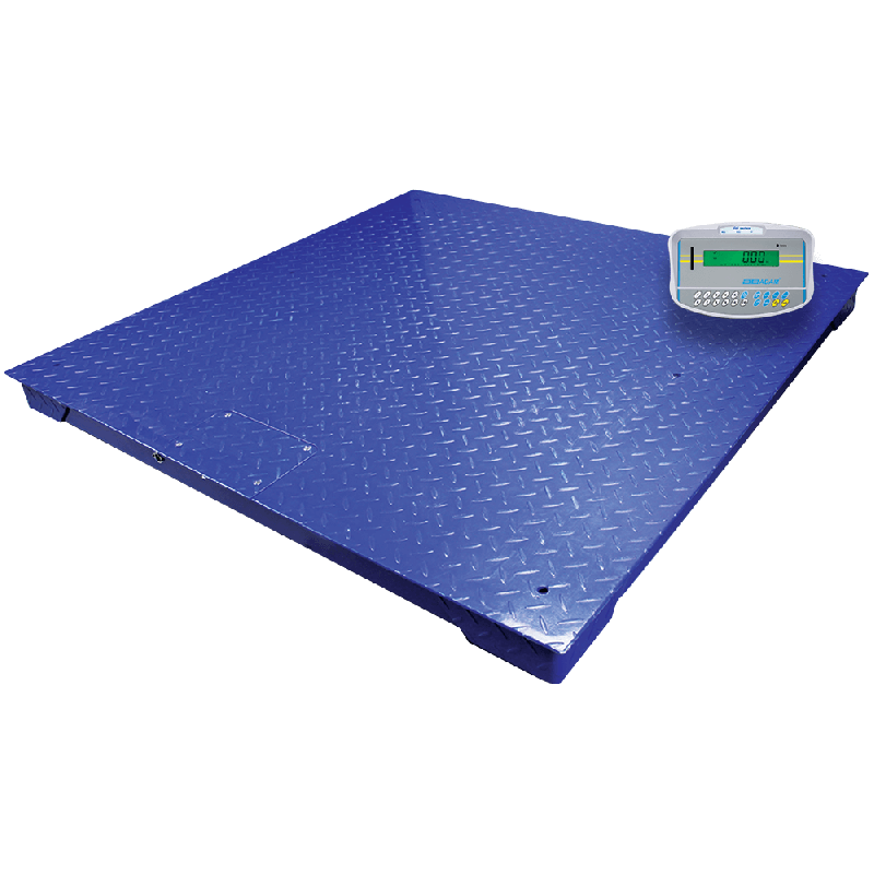 Adam Equipment Platform Scale - 5,000 x 1 lb, 4 x 4' - PT 312-5M [GKaM]