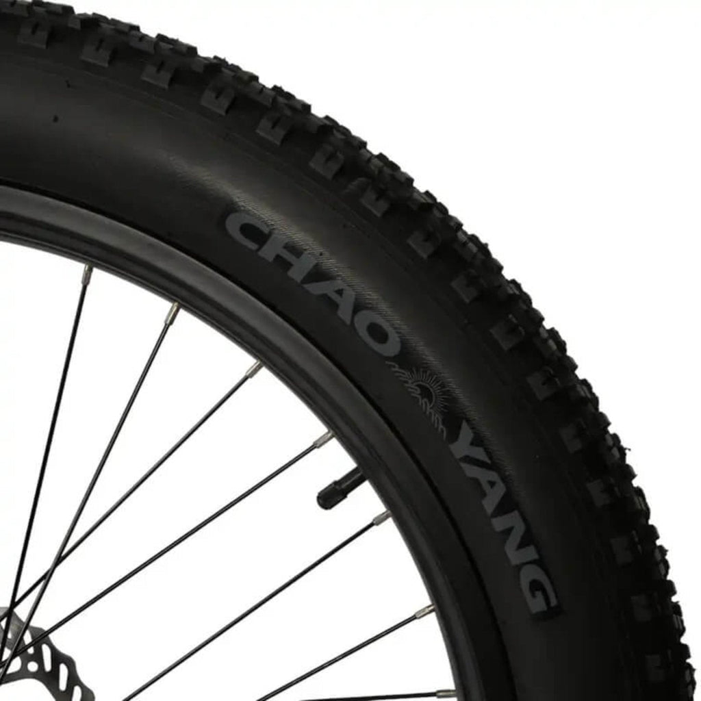 Biktrix 2024 Juggernaut LITE Step-Thru 750W Hub-Drive Electric Bike