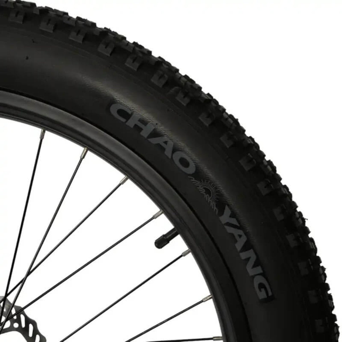 Biktrix 2024 Juggernaut LITE Step-Thru 750W Hub-Drive Electric Bike