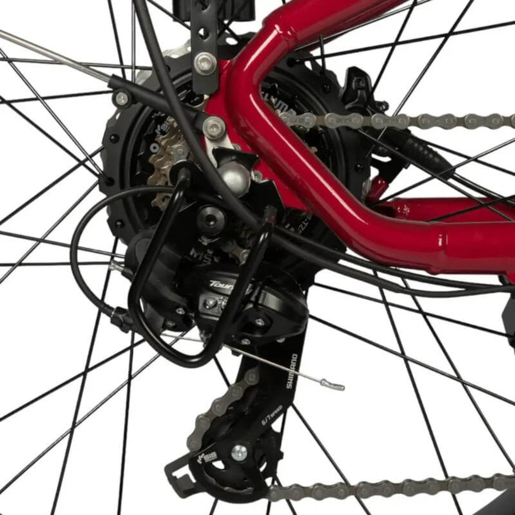 Biktrix 2024 Juggernaut LITE Step-Thru 750W Hub-Drive Electric Bike