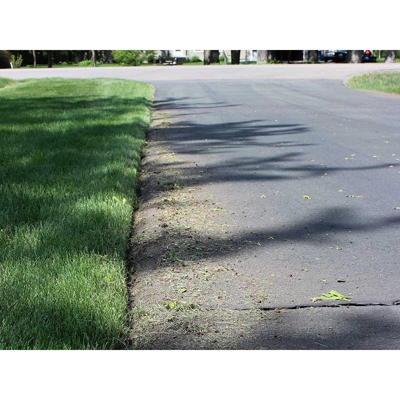 BravePro 10" Lawn Edger Honda GX120 (BRPE105H)