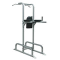 Chin/Dip/Ab Station