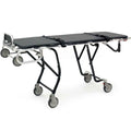 Ferno 24-miniMAXX Mortuary Cot - FNO-0032501