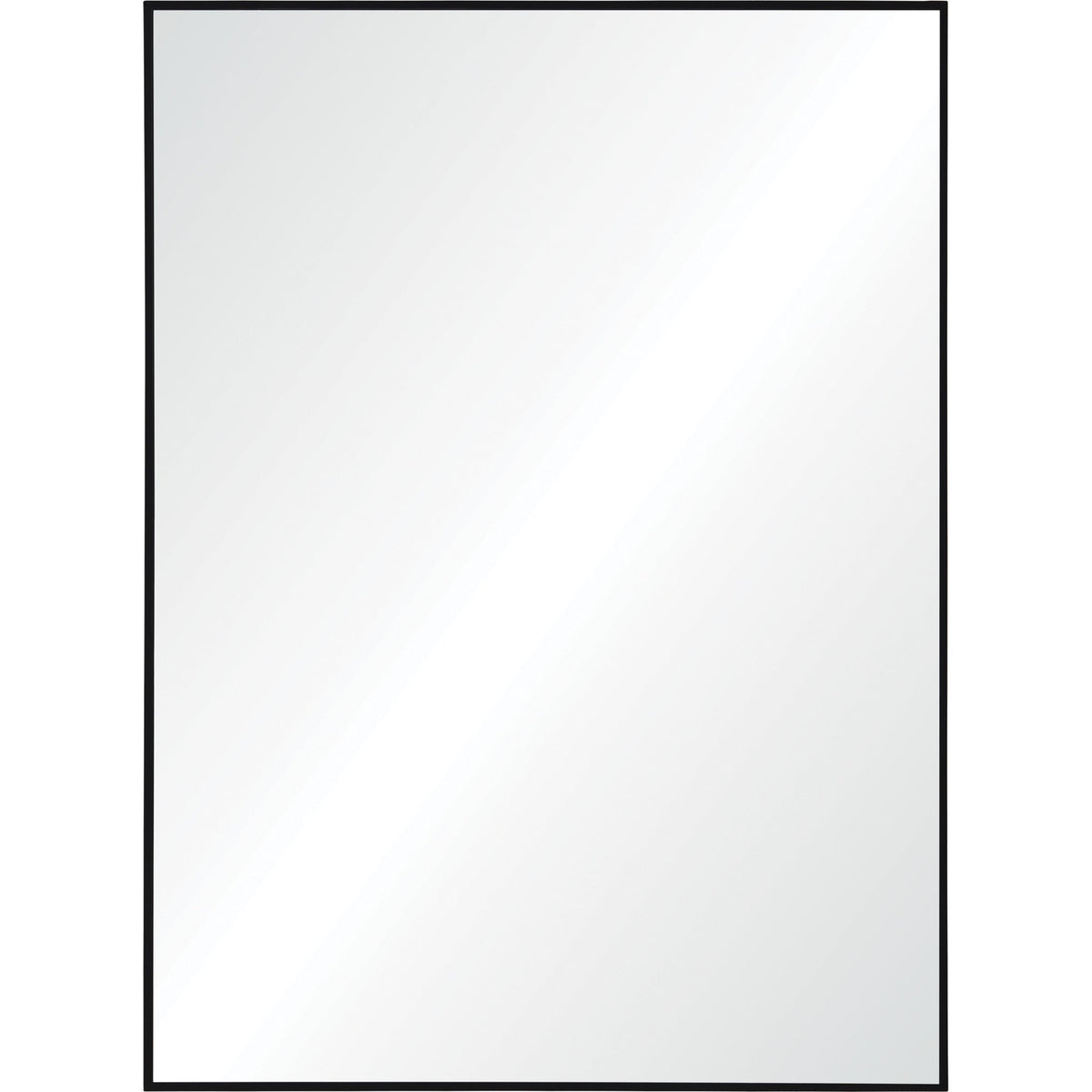 RenWil Raizel Rectangle Mirror NDD219M011 - MT2345