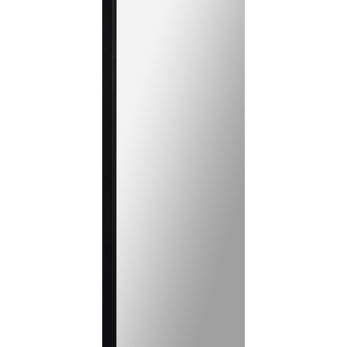 RenWil Mandret Irregular Mirror NDD220M015 - MT2381