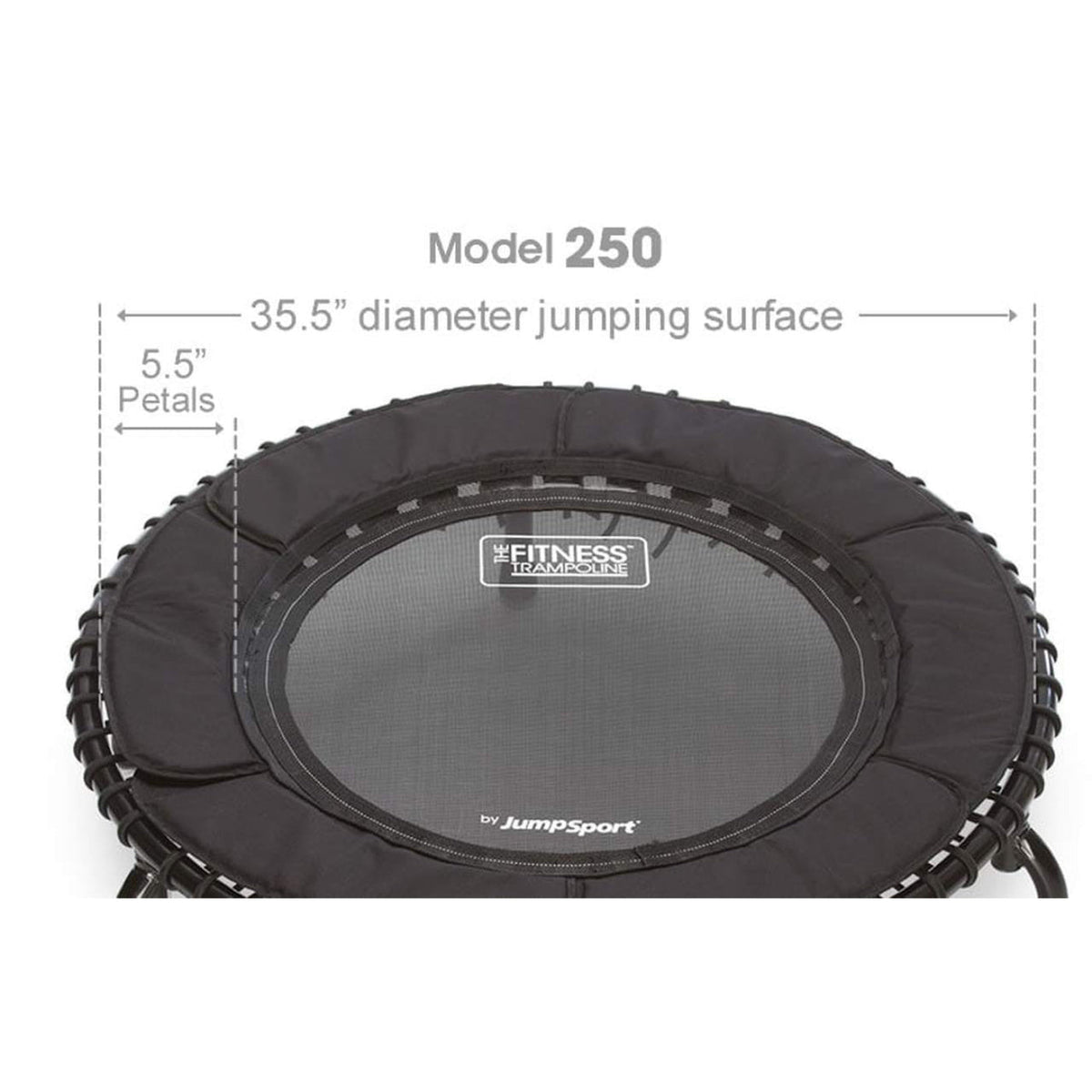 Disc-O-Bed JumpSport 250 Fitness Rebounder Mini Trampoline & Handle Bar Accessory, Black - 250098
