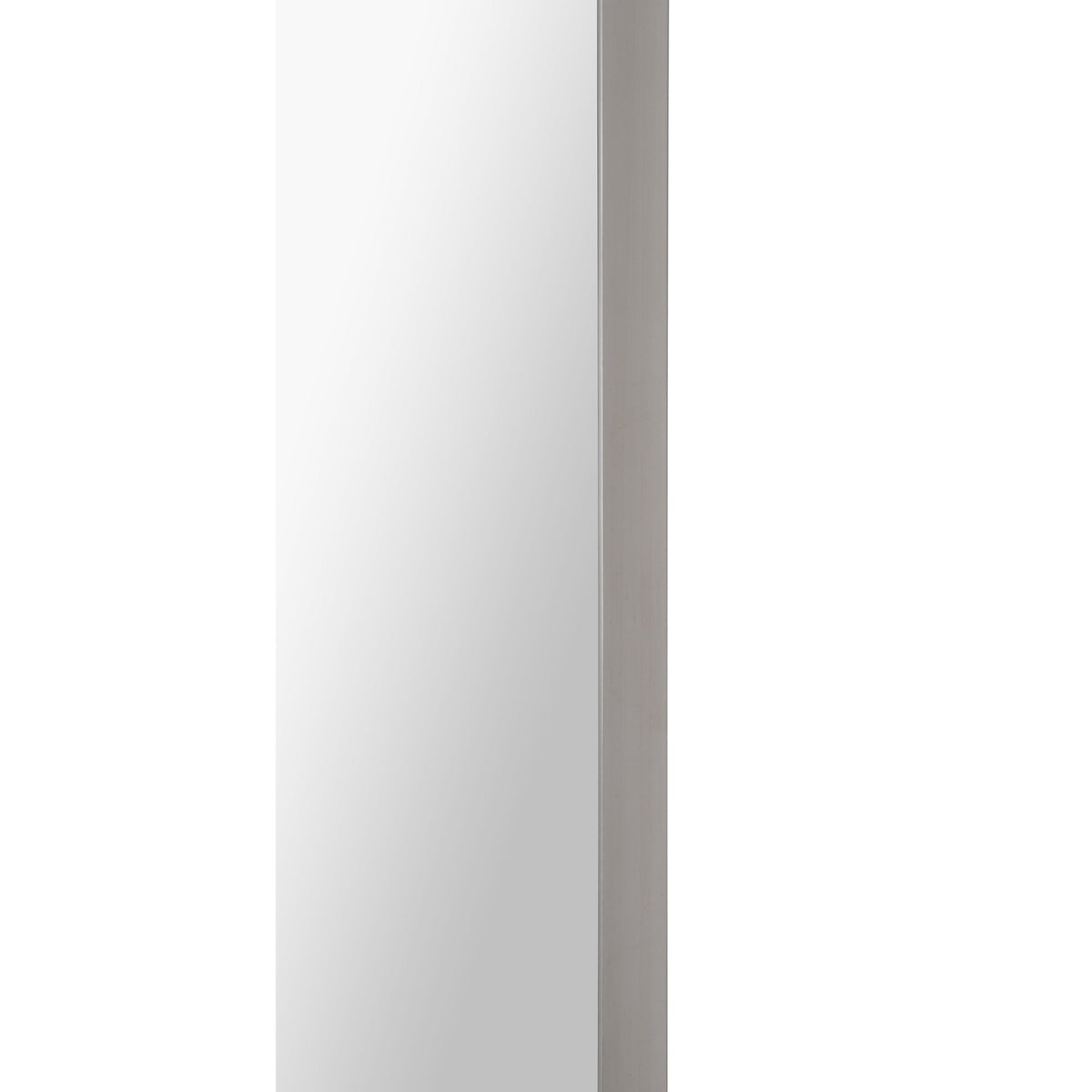 RenWil DELPHINUS Rectangle Mirror NDD220M006 - MT2360