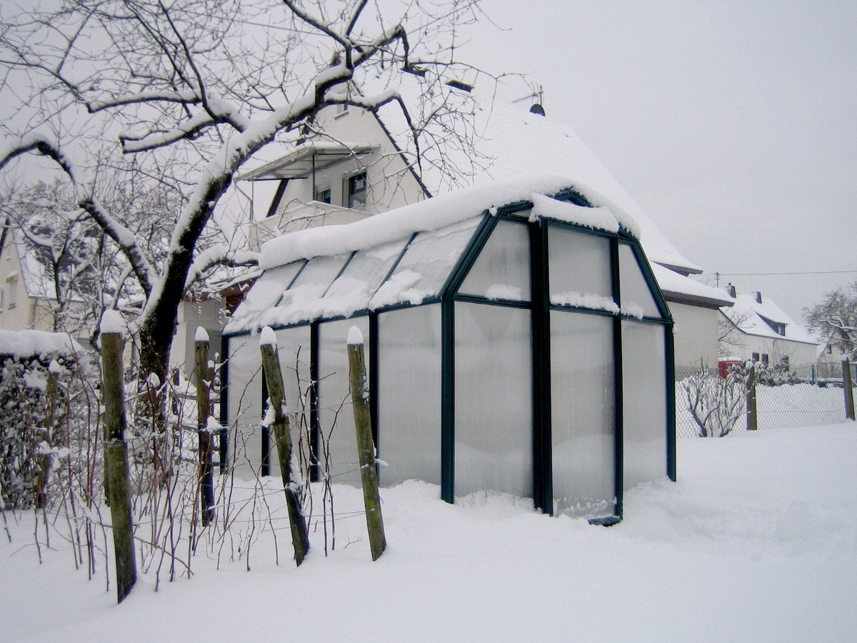 Palram - Canopia | EcoGrow Greenhouse Kit - 6 Ft Wide - Green With 6mm Twin-wall Polycarbonate Glazing - HG7006