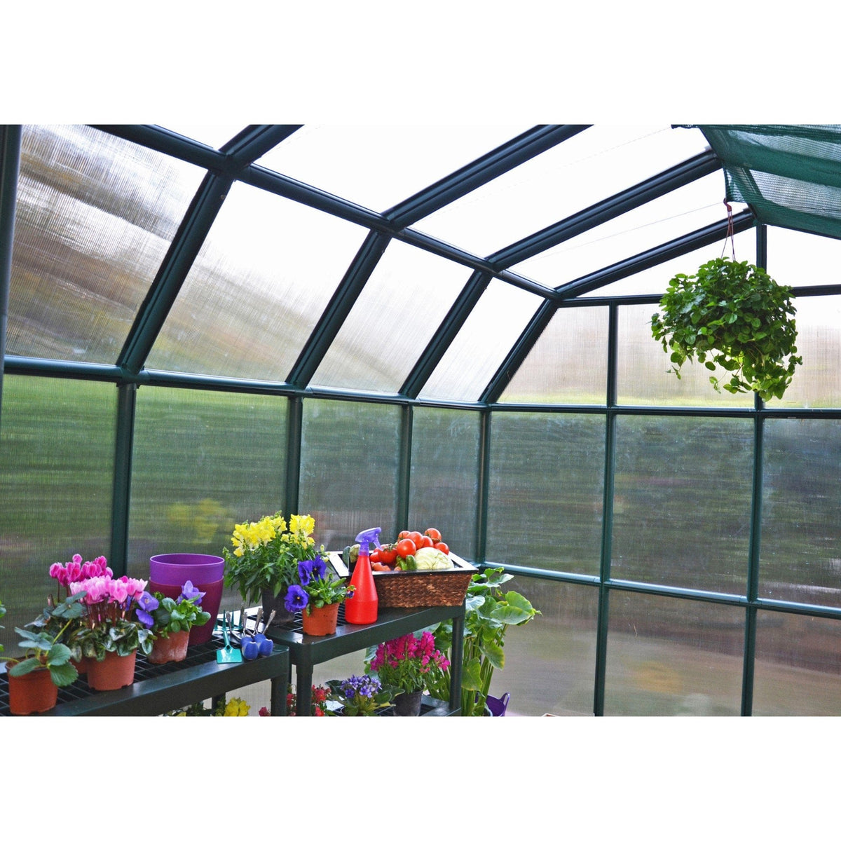 Palram - Canopia | Grand Gardener Greenhouse Kit - 8 Ft Wide - Green - 6mm Twin-wall Polycarbonate Glazing - HG7208