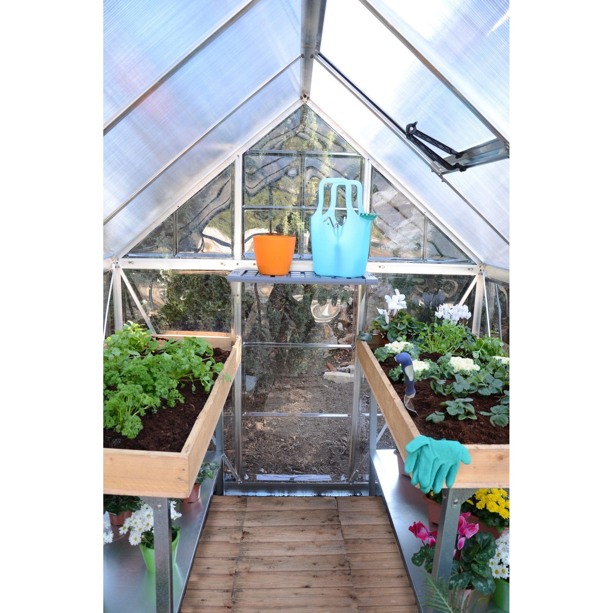 Palram - Canopia | 6x6 Ft Hybrid Greenhouse Kit - Green With 0.8mm Polycarbonate Glazing - HG5506G-1B