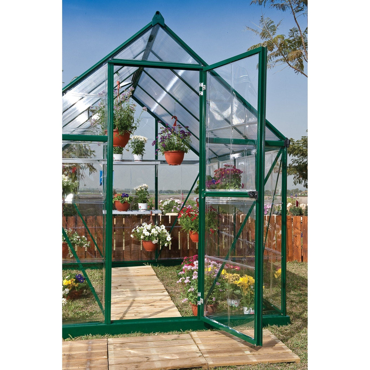 Palram - Canopia | 6x6 Ft Hybrid Greenhouse Kit - Green With 0.8mm Polycarbonate Glazing - HG5506G-1B