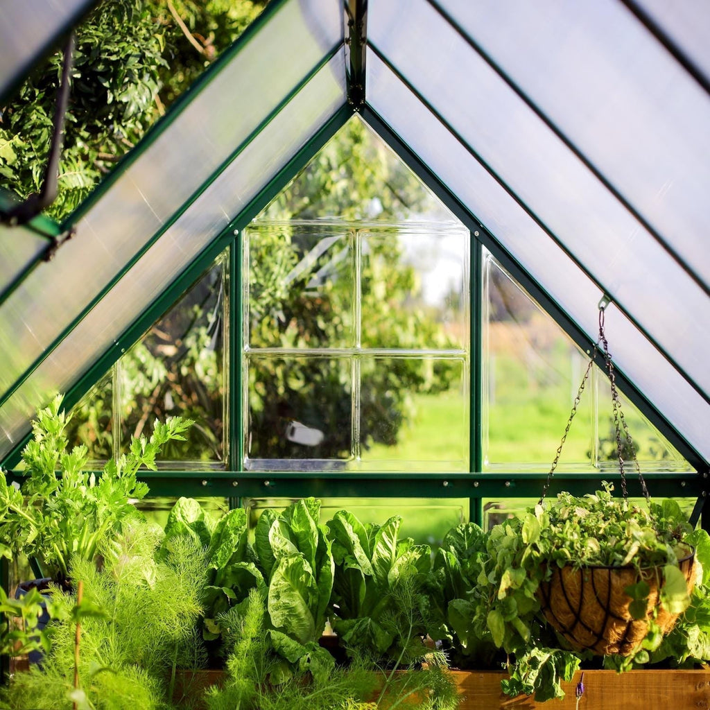 Palram - Canopia | 6x10 Ft Hybrid Greenhouse Kit - Green With 0.8mm Polycarbonate Glazing - HG5510G