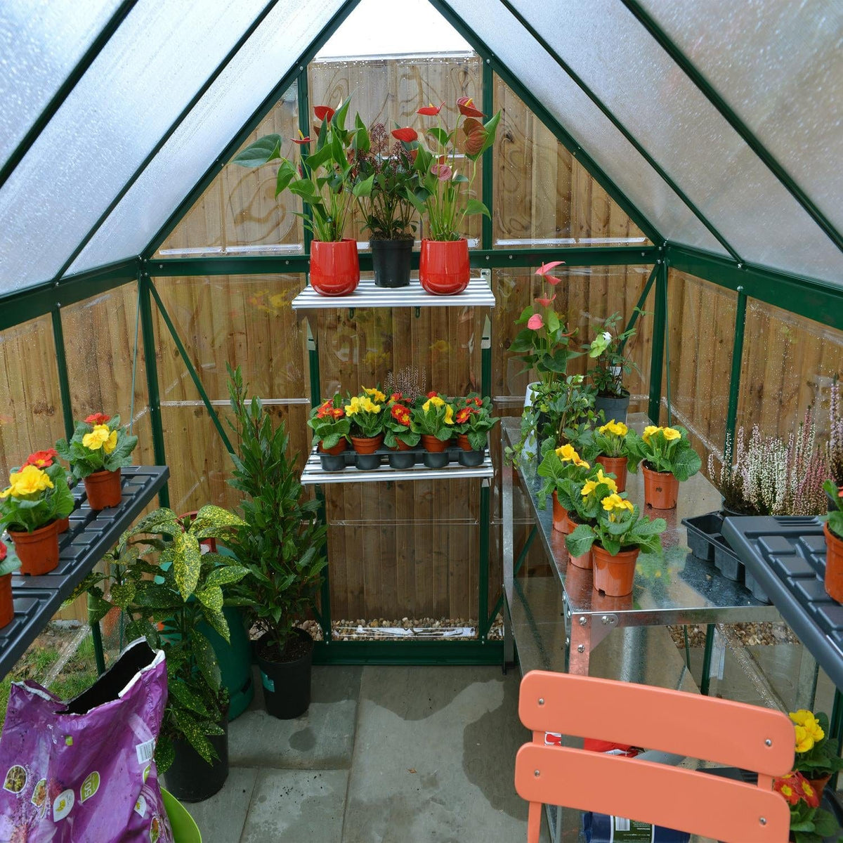 Palram - Canopia | 6x10 Ft Hybrid Greenhouse Kit - Green With 0.8mm Polycarbonate Glazing - HG5510G