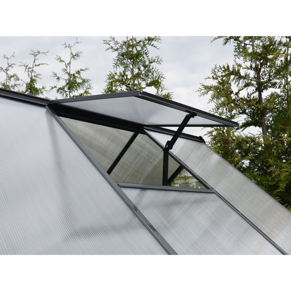 Palram - Canopia | 6x10 Ft Mythos Greenhouse Kit - Gray With 4mm Twin-wall Polycarbonate Glazing - HG5010Y