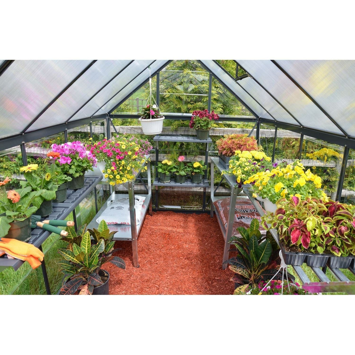 Palram - Canopia | 6x8 Ft Mythos Greenhouse Kit - Gray With 4mm Twin-wall Polycarbonate Glazing - HG5008Y