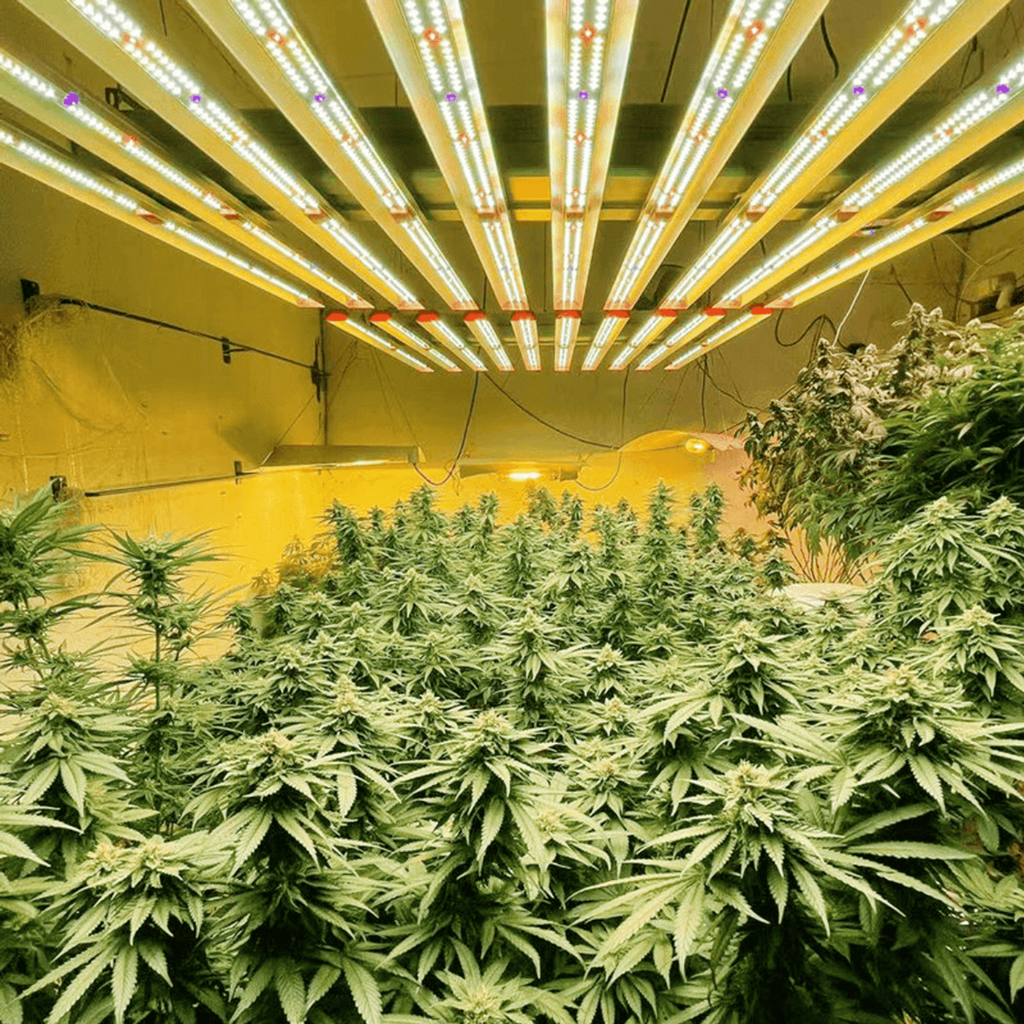 ParfactWorks Grow Light 700W LED  - ZE700
