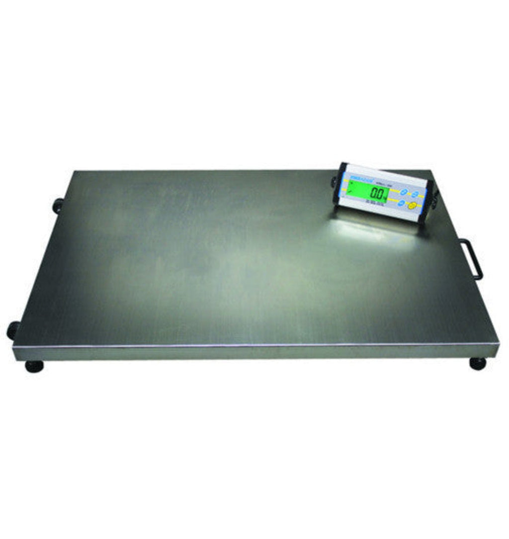 Adam Equipment  Floor Scale & Indicator - 165 x 0.05 lb/75 x 0.02 kg - CPWplus 75L