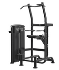TAG Fitness Elite Chin/Dip Assist Dual Select - 1770024656295_585