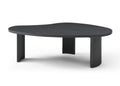 Whiteline Modern Living Pam Coffee Table in Black Color - CT1902L-BLK